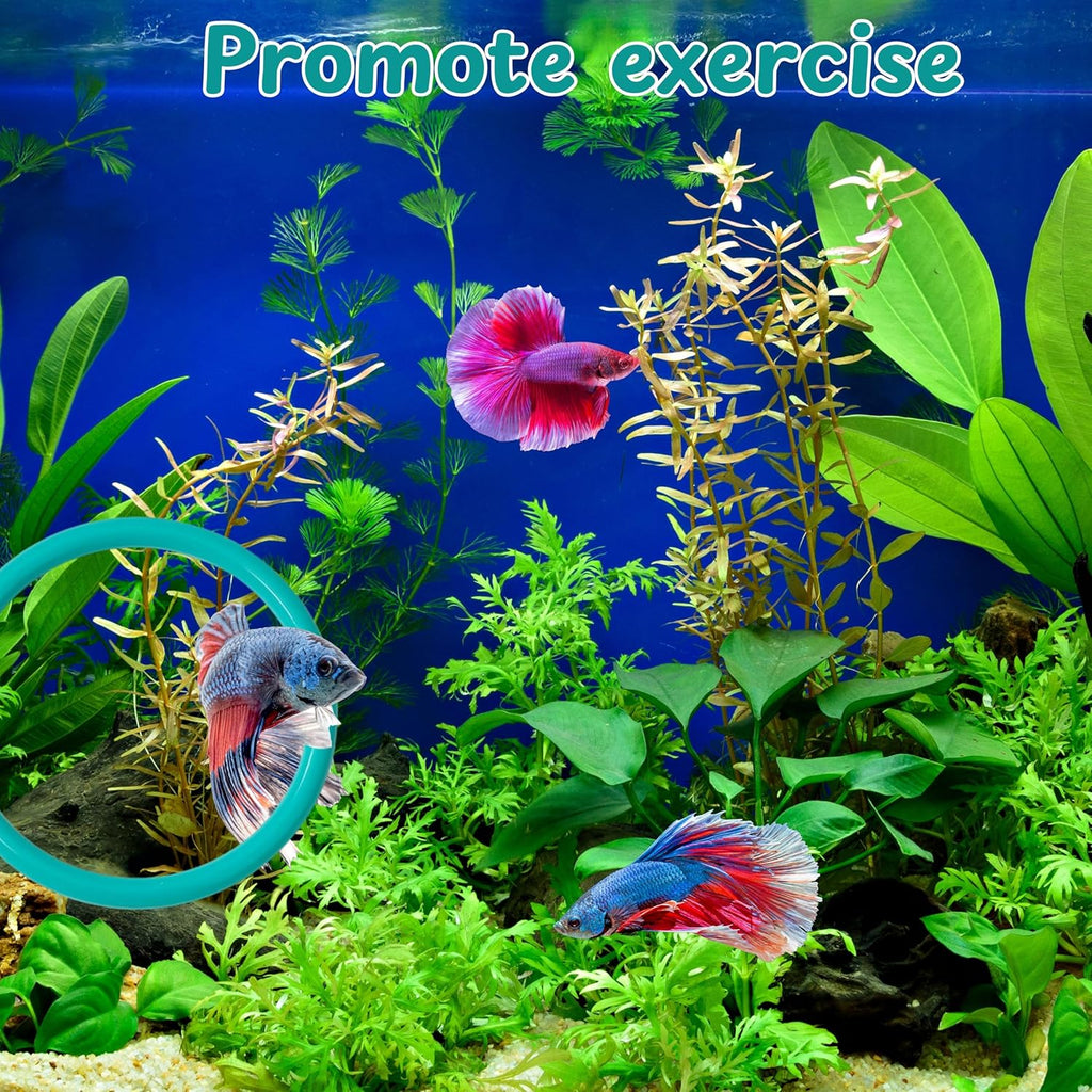 2 pcs Betta Ring Enrichment Toys with 1 pcs Betta Mirror, Exercise Training Ring and Floating Mirror for Fish Tank, Aquarium Feeding Rings with Floating Mirrors, Fish Toys, Bettas Toy (Teal, M-70mm)