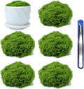 5-Pack (5.3oz Total) Small Fake Artificial Moss for Potted Plants Indoor - Green Faux Decorative Moss for Home Decor, Crafts, Fairy Garden, Terrarium, DIY, Model Making, Moss Walls, Glass Containers