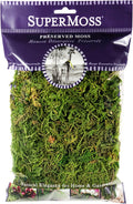 SuperMoss (25320) Forest Moss Preserved, Fresh Green, 2oz