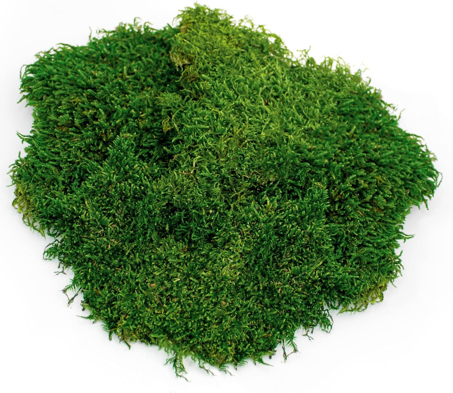 Galápagos (05248) Sheets of Real Moss, 8-Quart, Natural,Green