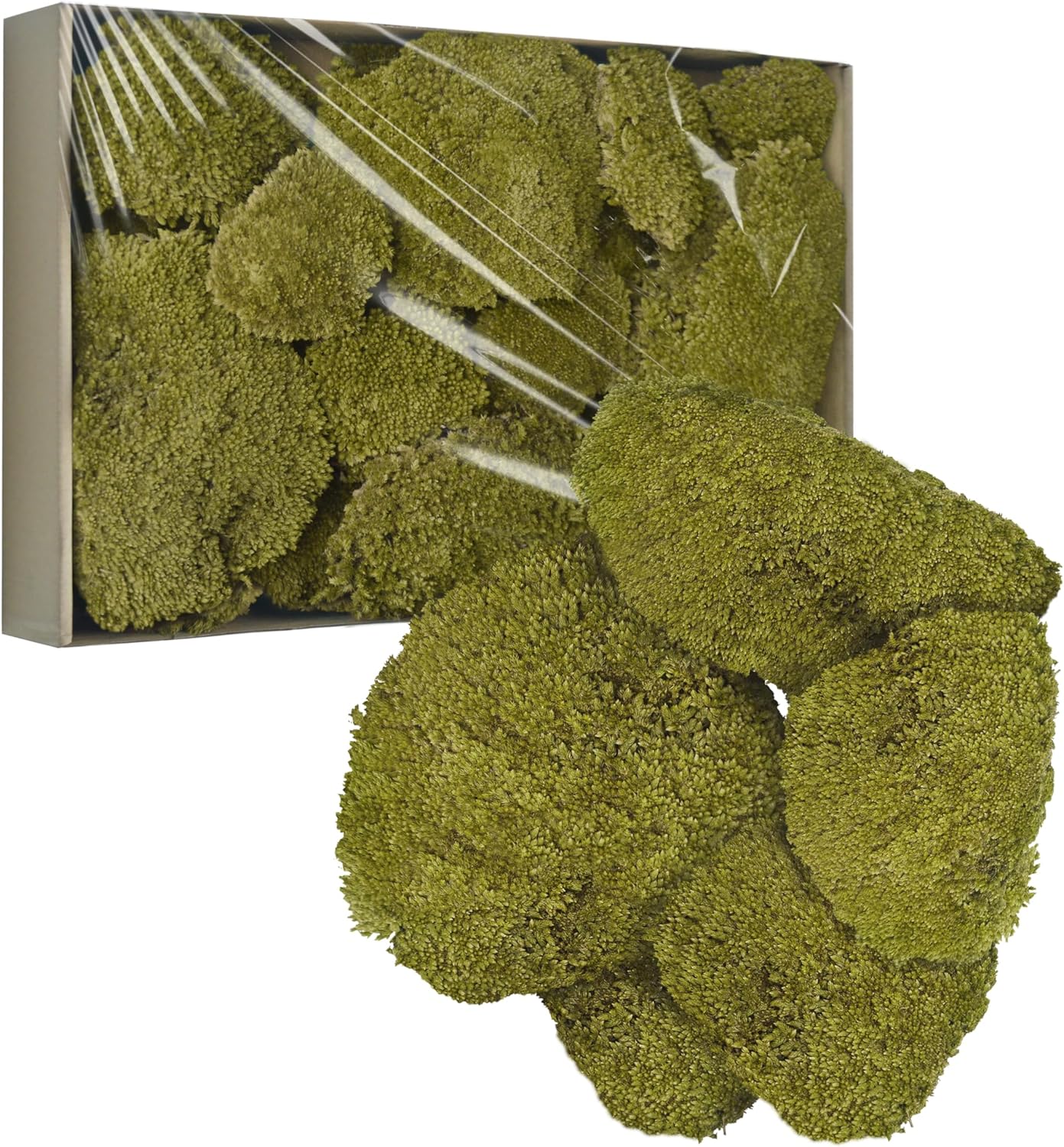 TurelinnG Preserved Moss Decor - Real Forest Moss, Moss for Crafts, Flexible for DIY Crafts, Home, Wall, Terrarium, Art Projects(Yellow Green 2 sq.ft)
