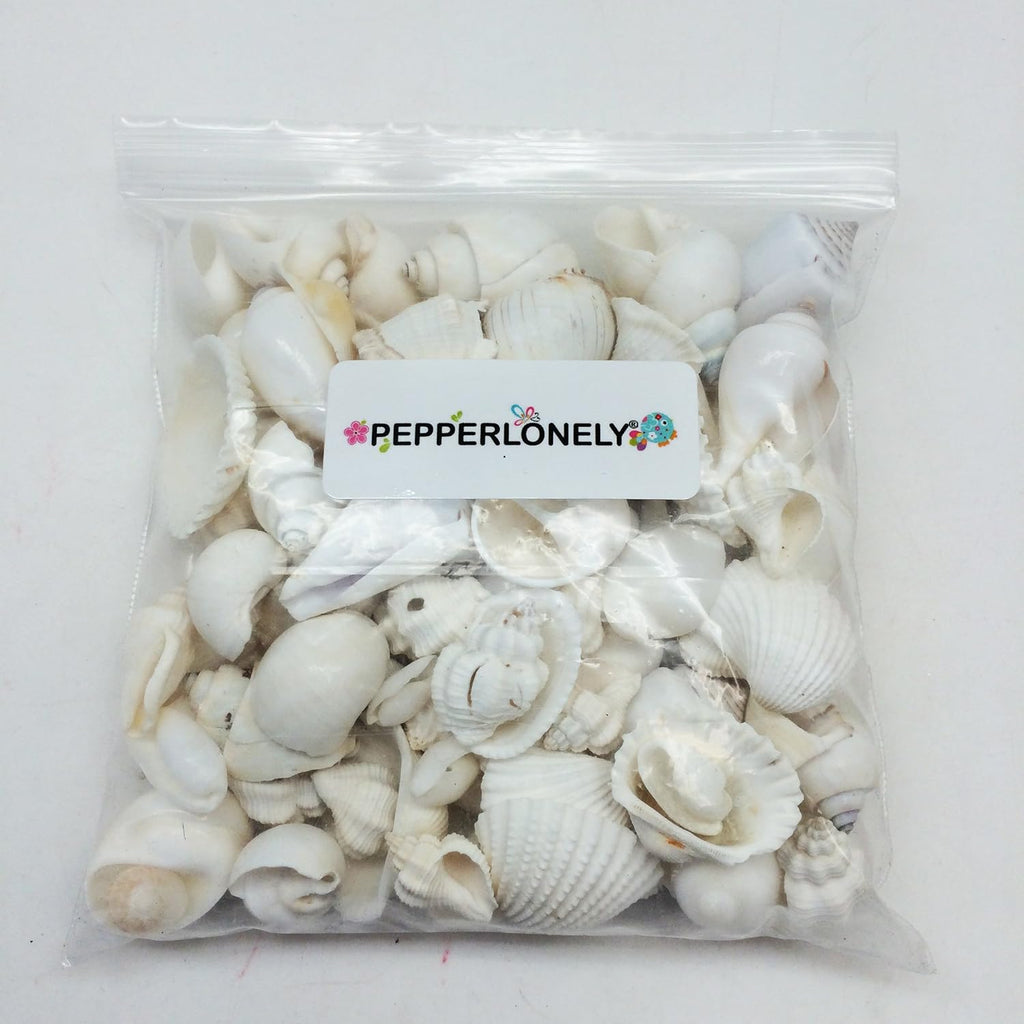 PEPPERLONELY Medium White Shell Mix Sea Shells, 10 OZ Apprx. 70+ PC Shells, 3/4 Inch ~ 1-3/4 Inch