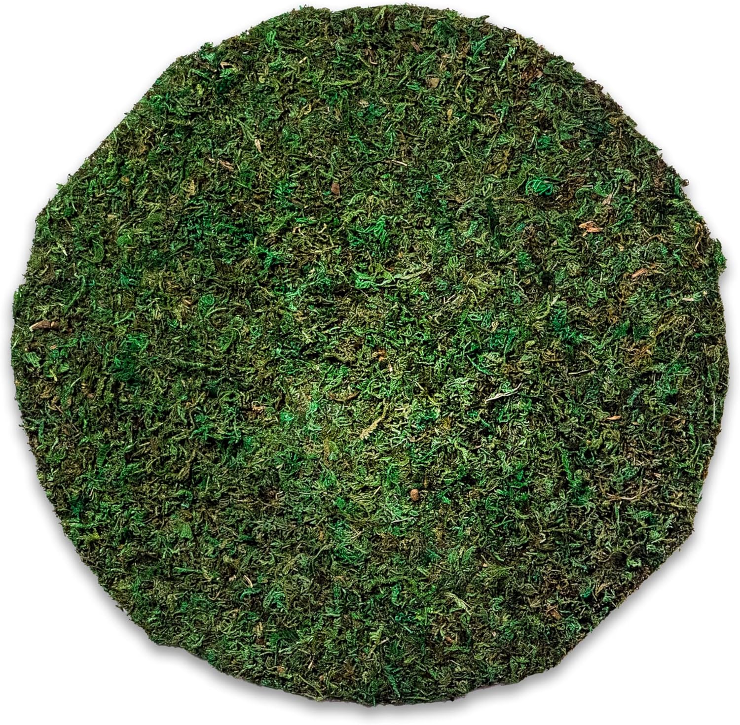 SuperMoss (26325) Moss Soil Toppers (Place Mats), Fresh Green, 16" (3 units)
