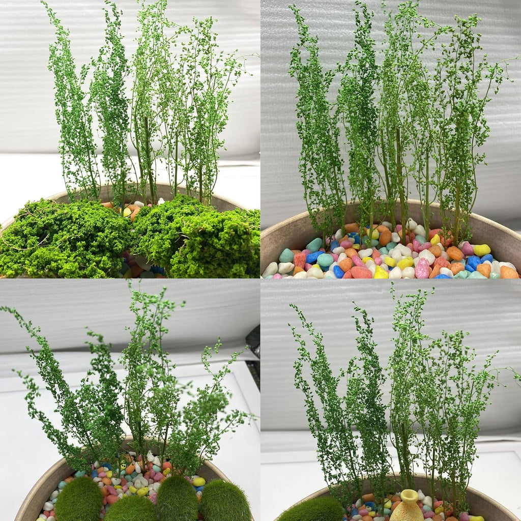 Cayway Miniature Shrubs Model Bushes Long Shrub Vegetation Groups Static Grass Tuft for DIY Model Train Landscape Railroad Scenery, Grass Green