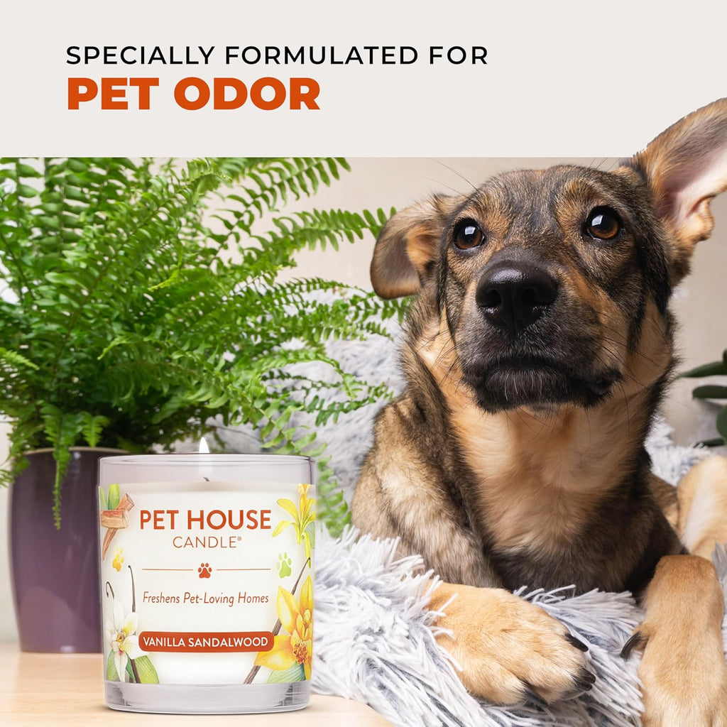 One Fur All Pet House Christmas Candles, Long Lasting, Clean Burning, Soy Wax Scented Candles for Pet Odor, Evergreen Forest