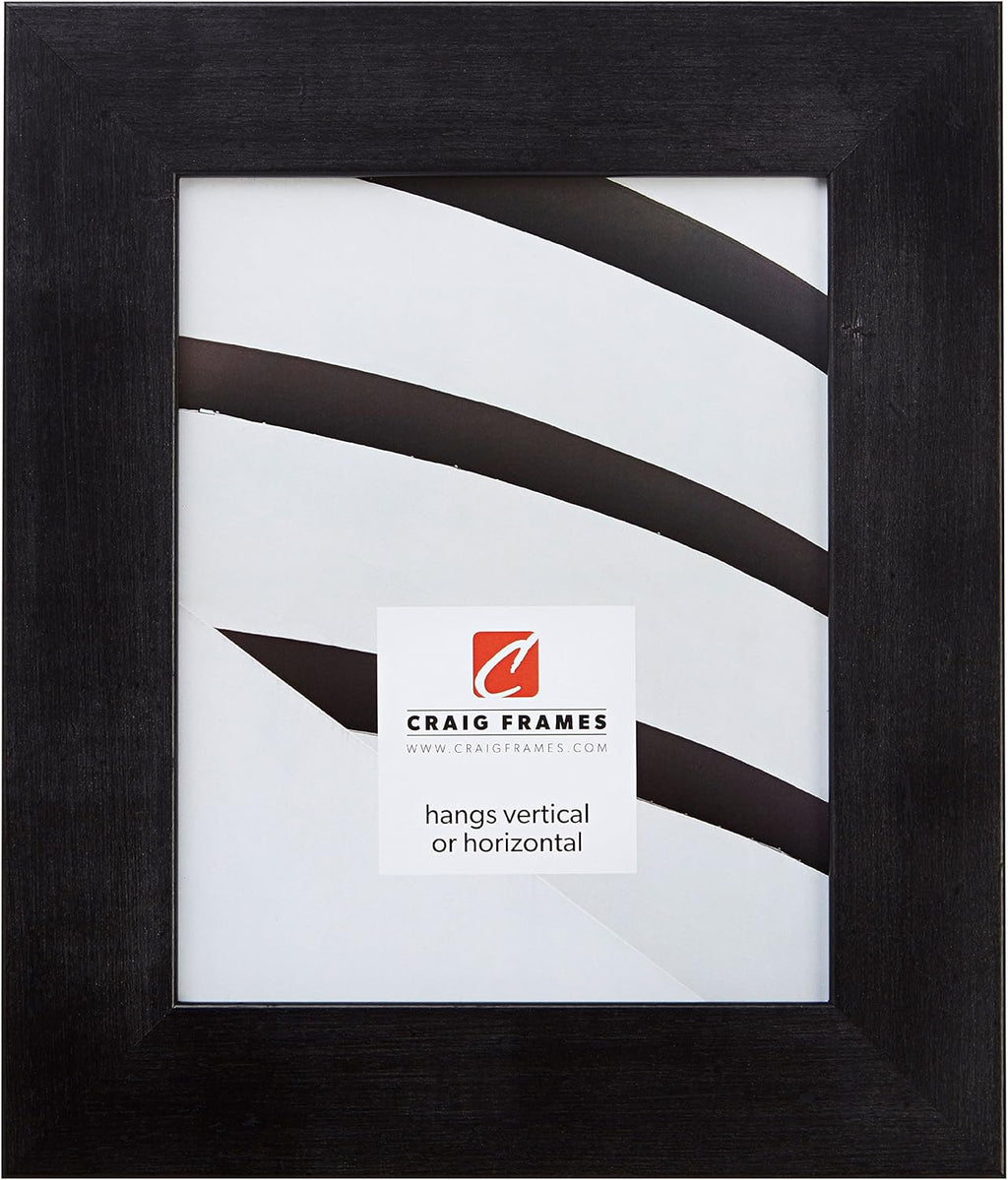 Craig Frames 74009 16 by 24-Inch Picture Frame, Smooth Wrap Finish, 2-Inch Wide, Black Rustic Pine