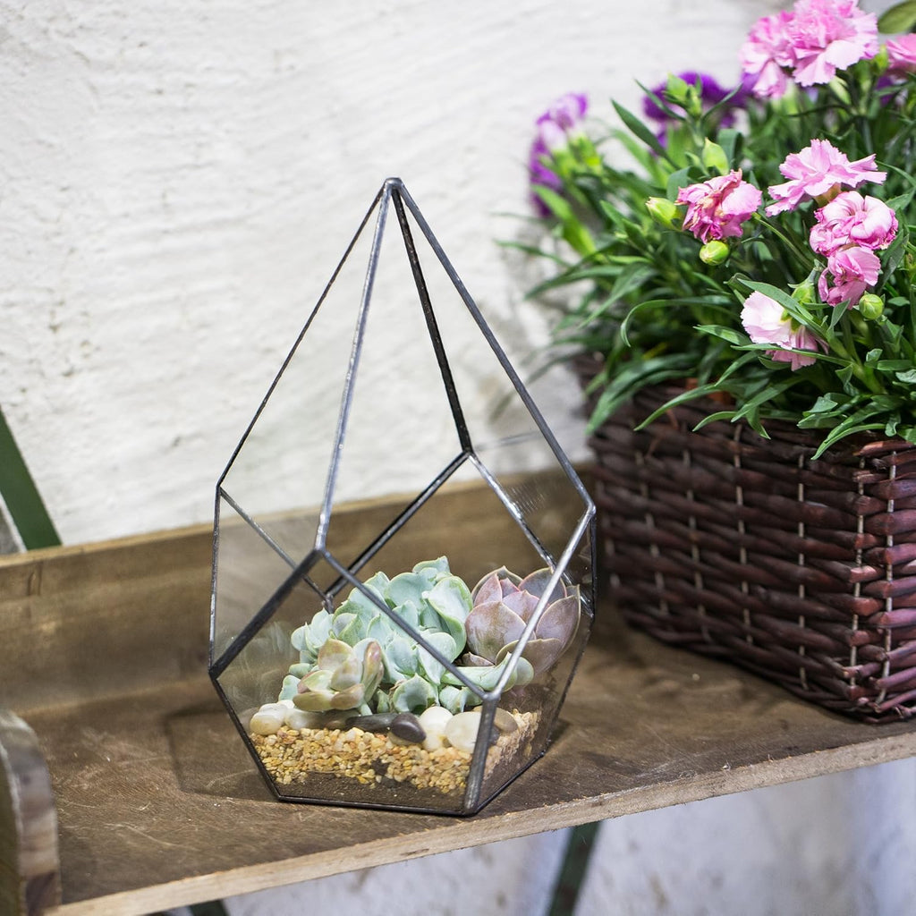 NCYP Geometric Glass Terrarium Planter - 5.5 x 5.5 x 9 Inches - Diamond Shape Flower Pot for Succulent Air Plant - Home, Office Desktop Decoration Terrarium, Black (No Plants Included)