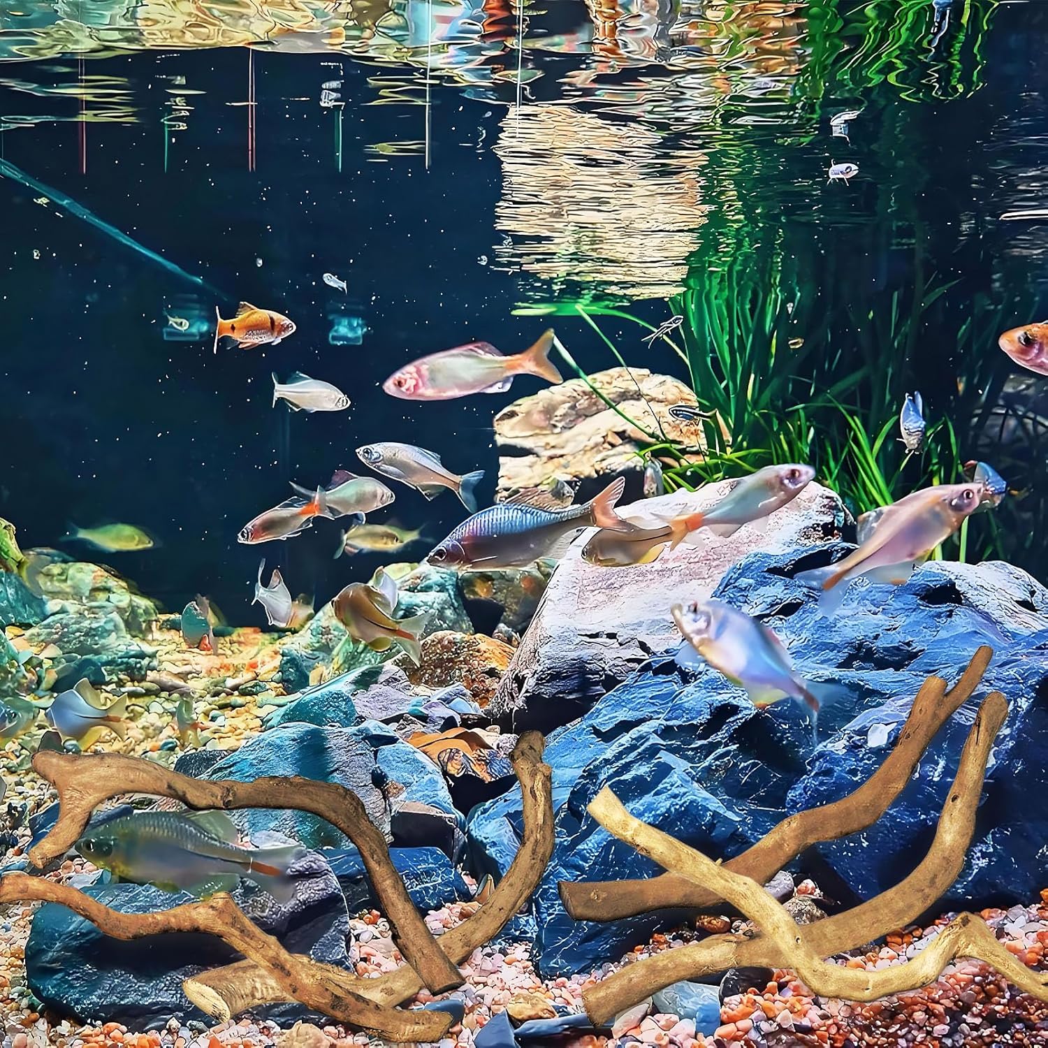 Hamiledyi Natural Driftwood for Aquarium Decor - Red Moor Wood 10"-15" Long Assorted Shapes (400g) Safe Branches for Fish Tank & Reptile Habitat - Natural Aquarium Wood Decorations (Coarse Branches)