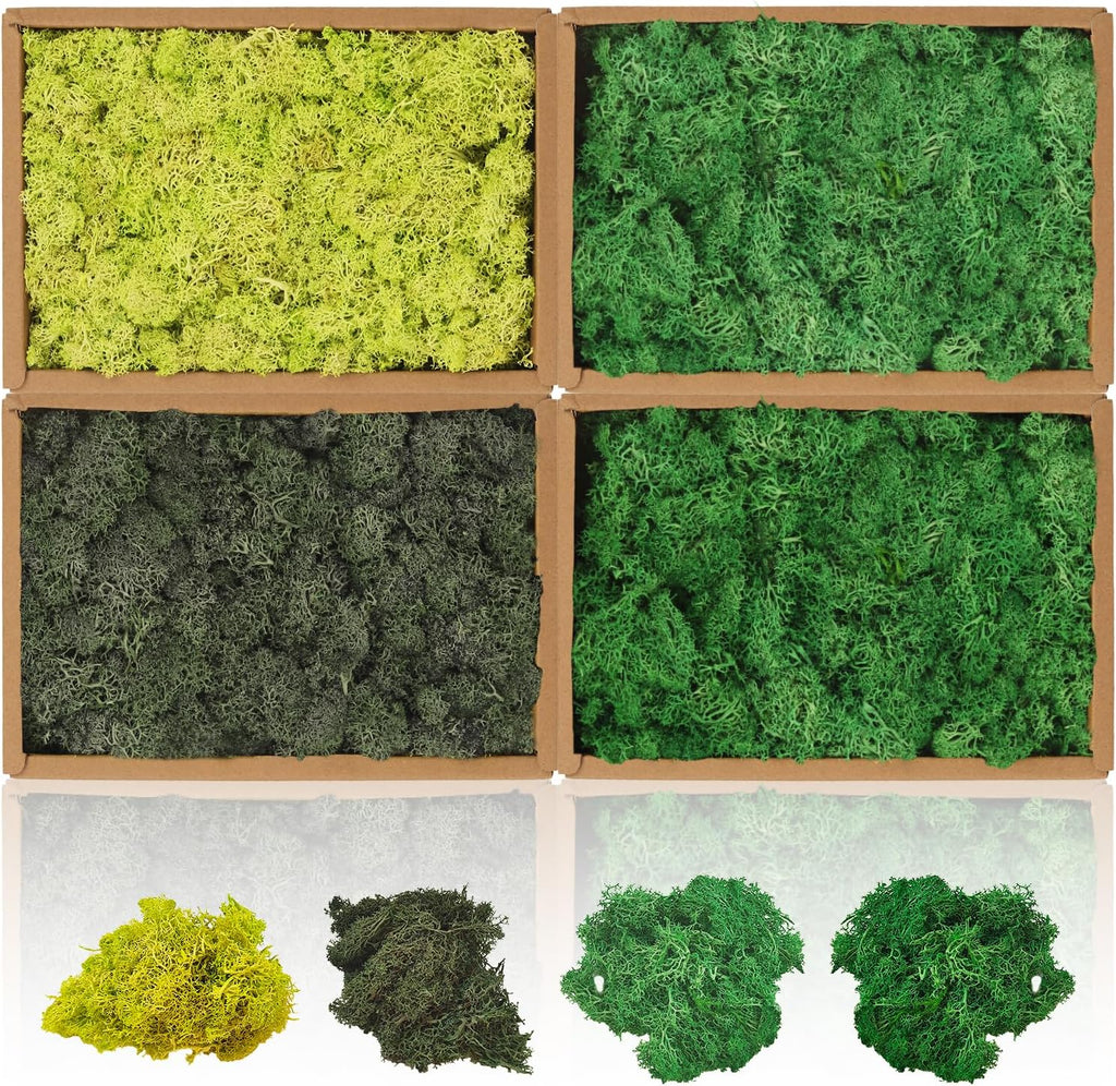 Preserved Moss,Moss Wall Art Moss Art Reindeer Moss Decorative Moss, Green Moss Crafting Moss for Crafts DIY Arts Wall Home Office Terrariums Wedding Decoration (Multicolored,1.8 Lb)