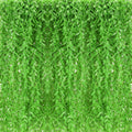 Riceshoot 24 Pcs Artificial Hanging Vines Fake Weeping Willow Leaves Decor Fake Seaweed Artificial Vines Greenery Garland for Wedding Party Backdrop Wall Decor Garden Patio Backyard (Fruit Green)
