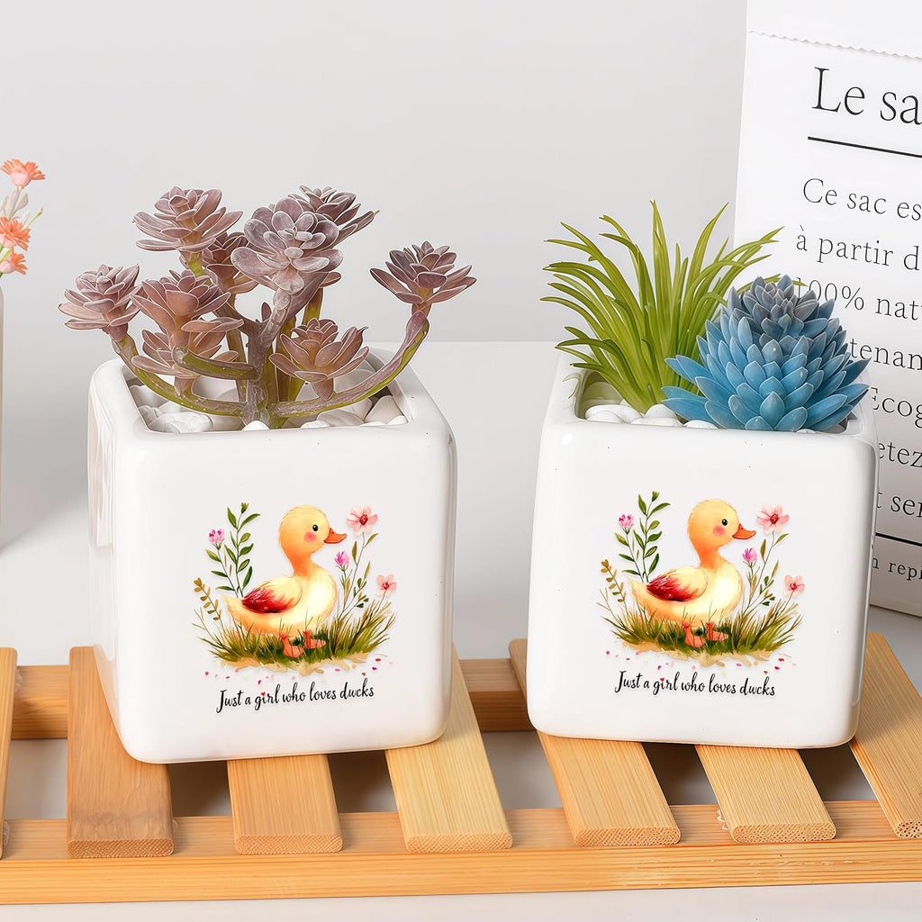 Duck Succulent Planter Flower Plant Pot Small, Gifts for Women Teens Girls Kids, Duck Lovers Themed Stuff Accessories Things Decor Merch, Home Office Table Desk Decoration!
