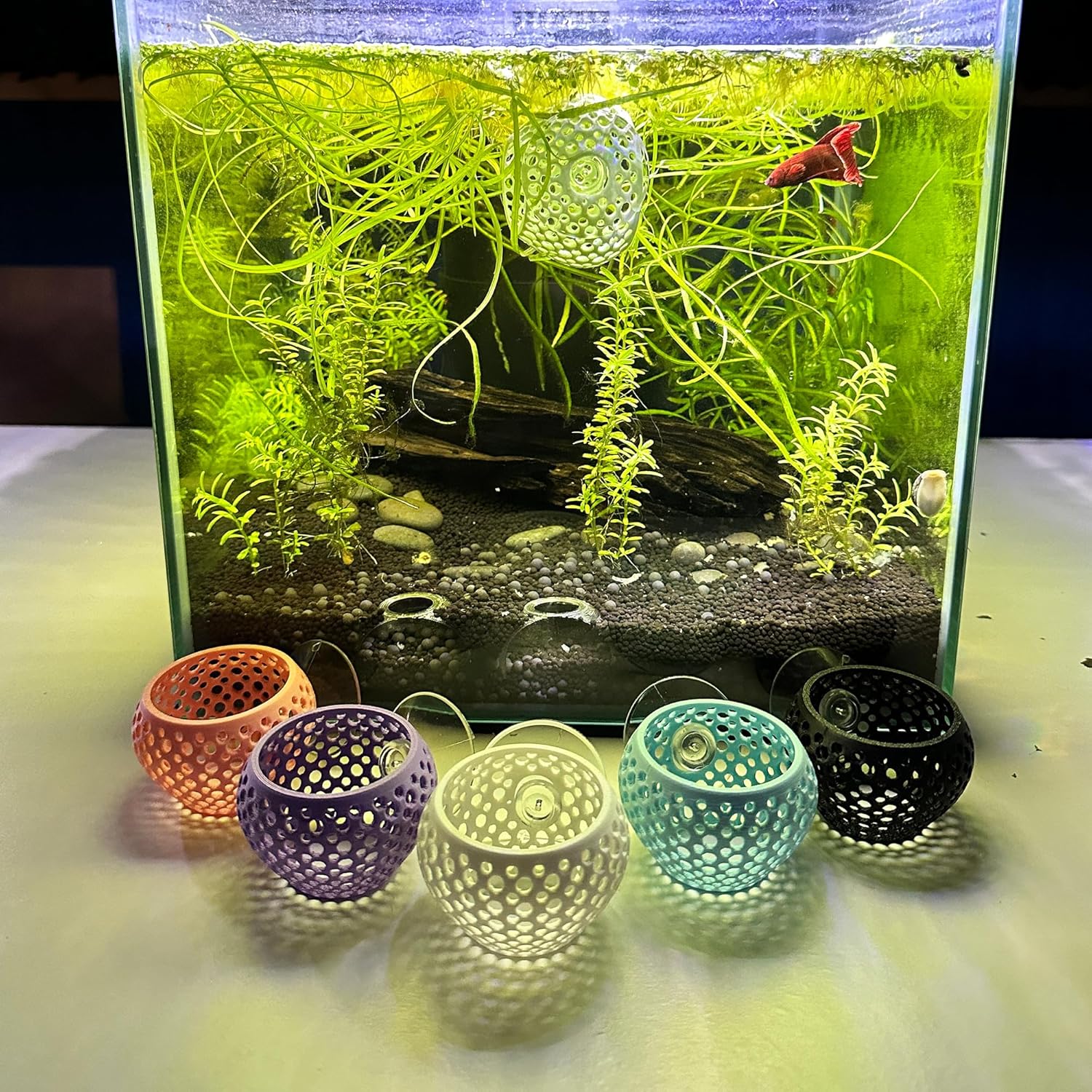 CTWPets Betta Bulb Hide | Betta Rest Fish Tank Ornament | Aquarium Cave with Suction Cup for Small Fish Tank, Betta Habitat, Shrimp Hideout, Aquatic Decor (Minty Dream)