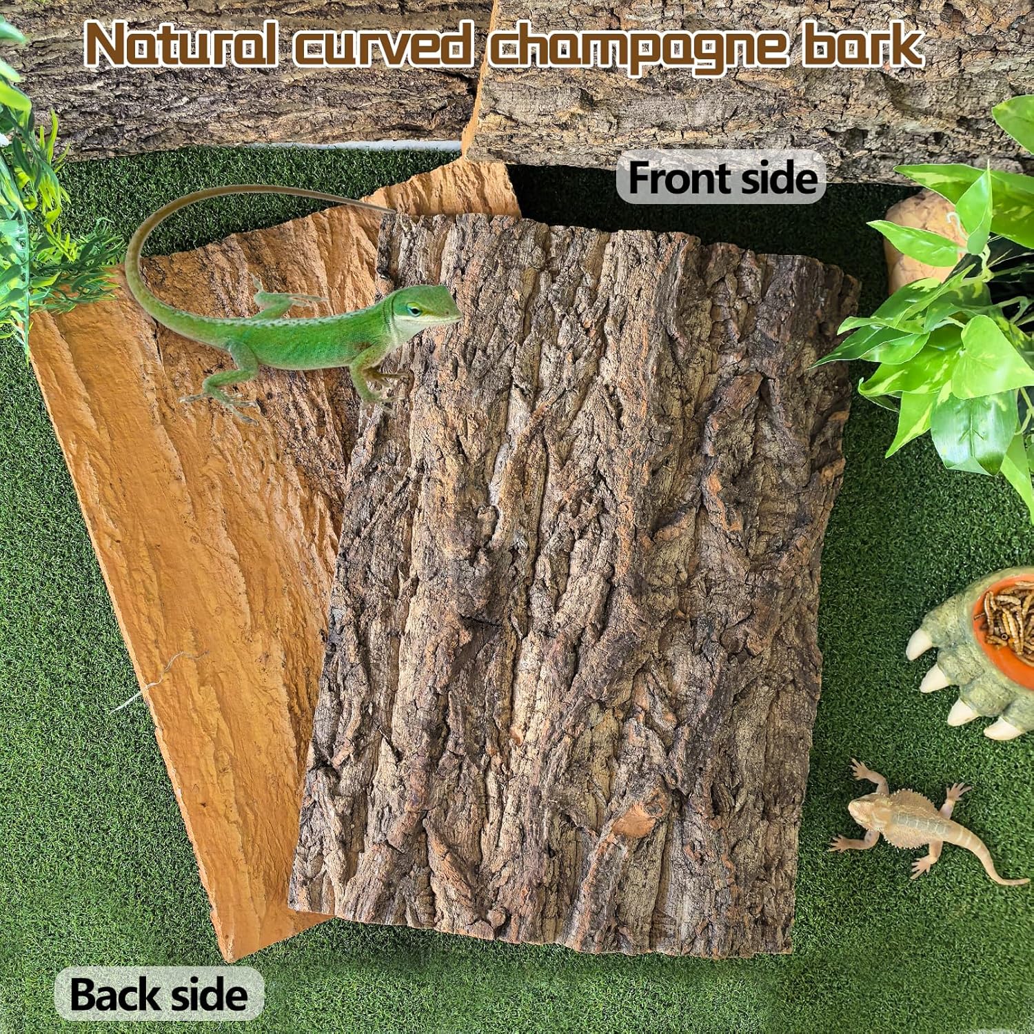 Hamiledyi Cork Terrarium Background 11.8x7.9in 6PCS Natural Reptile Cork Bark Flats Terrarium Board Bearded Dragon Climbing Wall Mat Tank Decor for Lizard Chamelon Snake Turtle Spider Crested Gecko