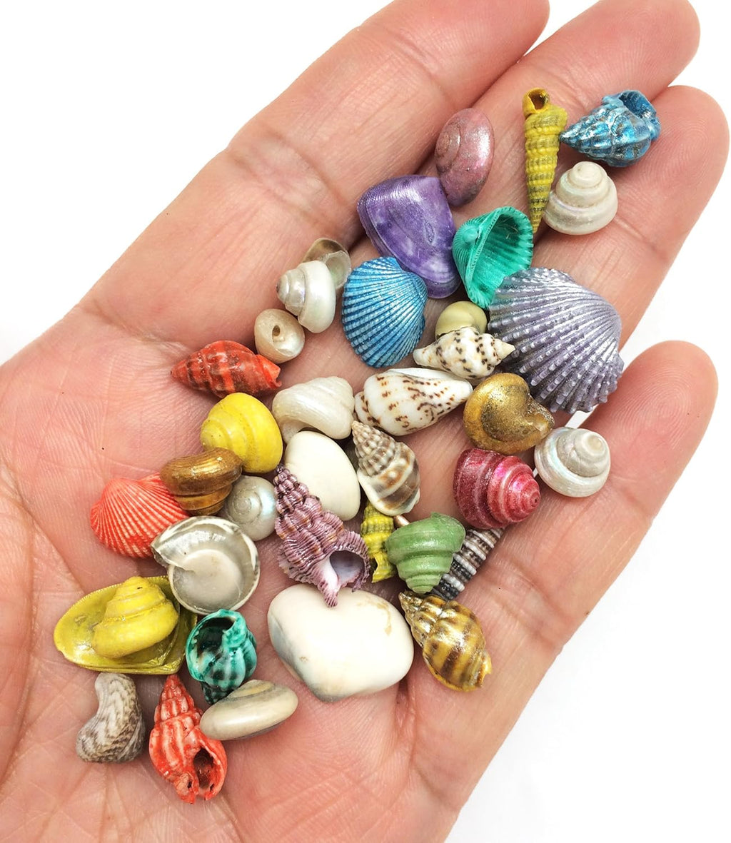 PEPPERLONELY Extra Small Dyed/Natural Mix Seashells, Very Small & Clean, 8 OZ Apprx. 1/4 Inch ~ 1/2 Inch