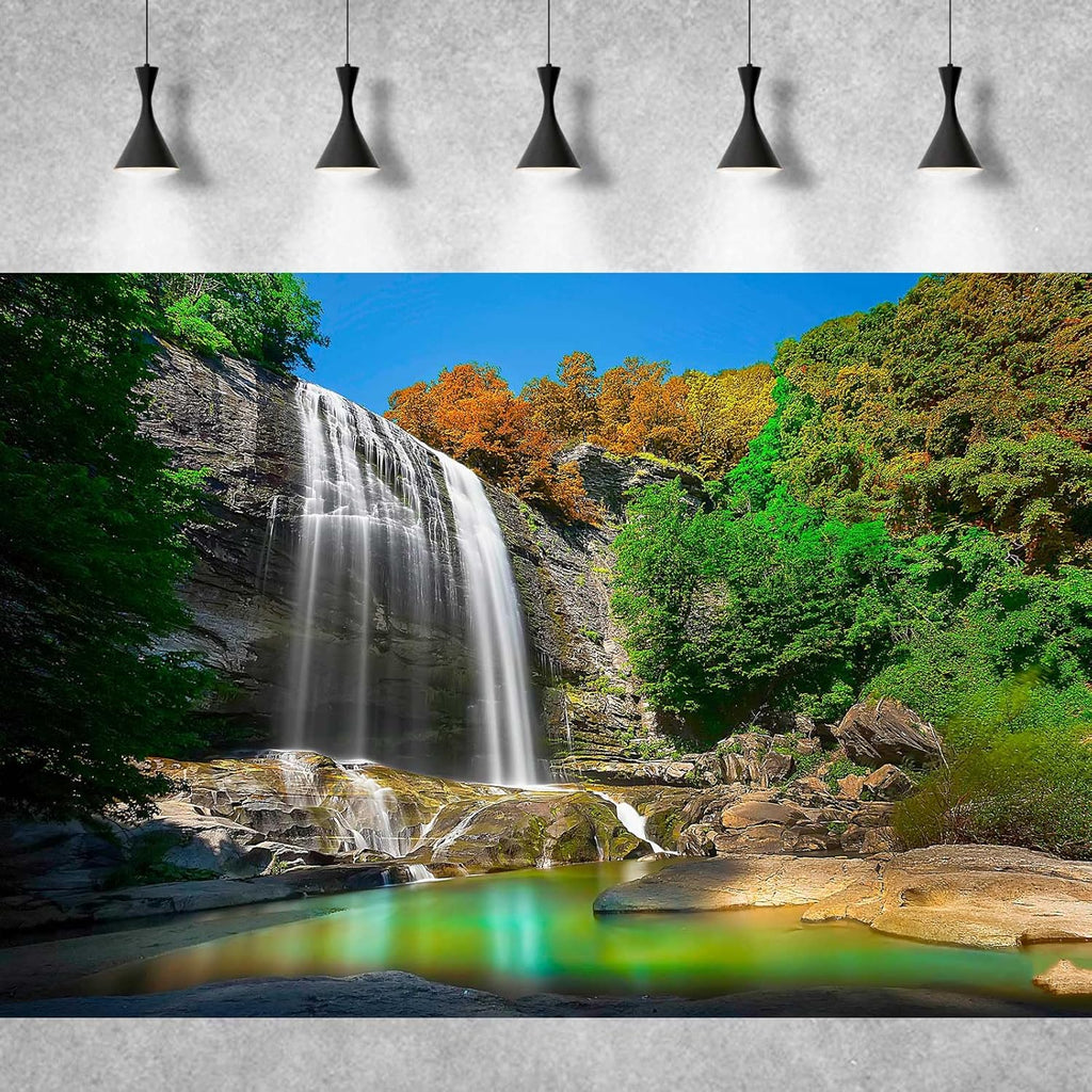 Waterfall Aquarium Background Natural Jungle Rainforest Landscape Terrarium Background Jungle Style Tranquil Stream Fish Tank Background Falls Forest Rocks Reptile Background Vinyl 24x12in