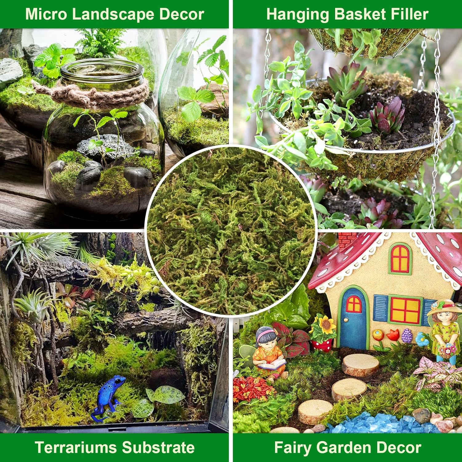 Legigo 7OZ Premium Forest Moss for Plants, 8 QT Natural Green Sphagnum Moss for Potted Plants, Dried Orchid Moss Potting Mix, Soft Real Moss Decorative for Houseplants Orchids Succulents Reptiles