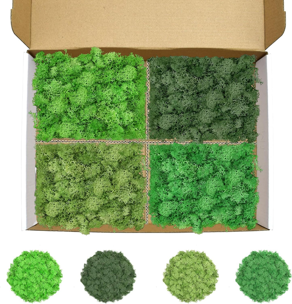 Preserved Reindeer Moss 14 OZ 4 Colors for DIY Gift, Potted Plants,Craft Decor,Wall Art,Festive Home Decorative Christmas(Green, Dark Green, Chartreuse and Emerald Green, Each Color 3.5 OZ)