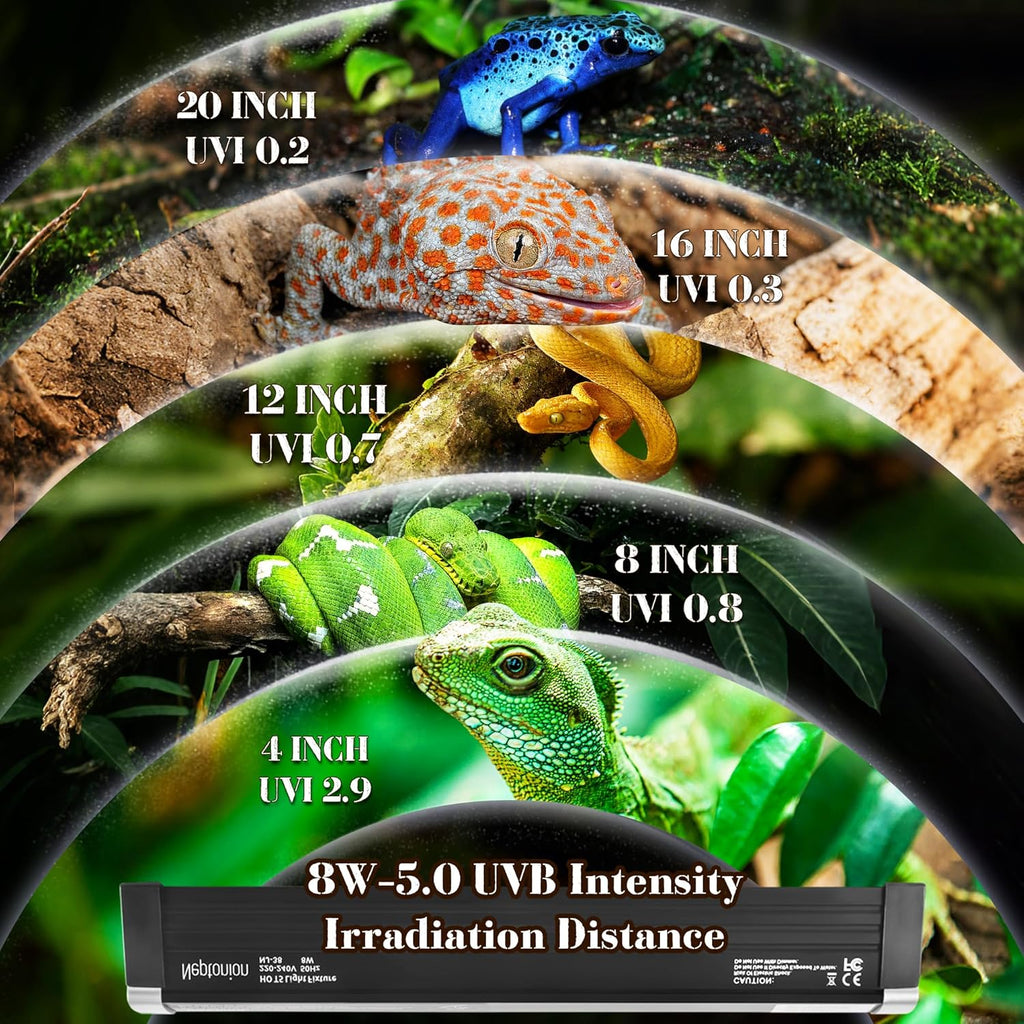 T5 Reptile UVB Light 12.5 Inches Fixture with UVB 5.0 Bulb High Output Hood for Terrariums, Basking Reptiles, Lizards, Chameleons, Iguanas, Bearded Dragons, 8W