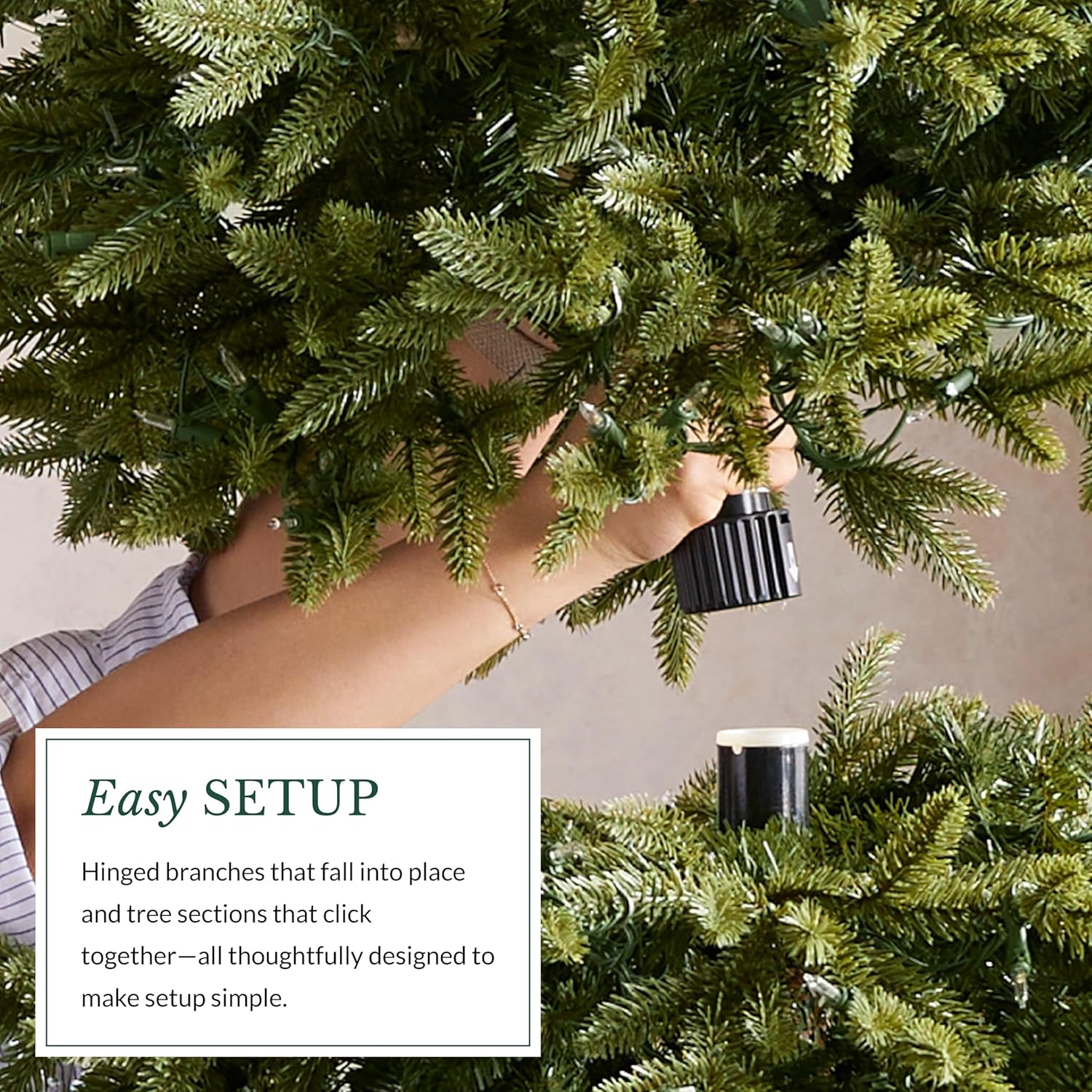 Balsam Hill European Silver Fir - Elegant Artificial Christmas Tree with True Needle Foliage Available Unlit or with LED Clear Lights, Unlit, 5'
