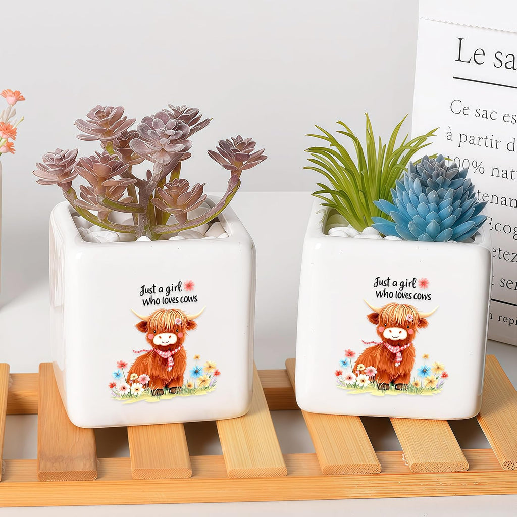 Highland Cow Succulent Planter Flower Plant Pot Small, Gifts for Women Teens Girls Kids, Cow Lovers Themed Stuff Accessories Things Decor Merch, Home Office Table Desk Decoration!