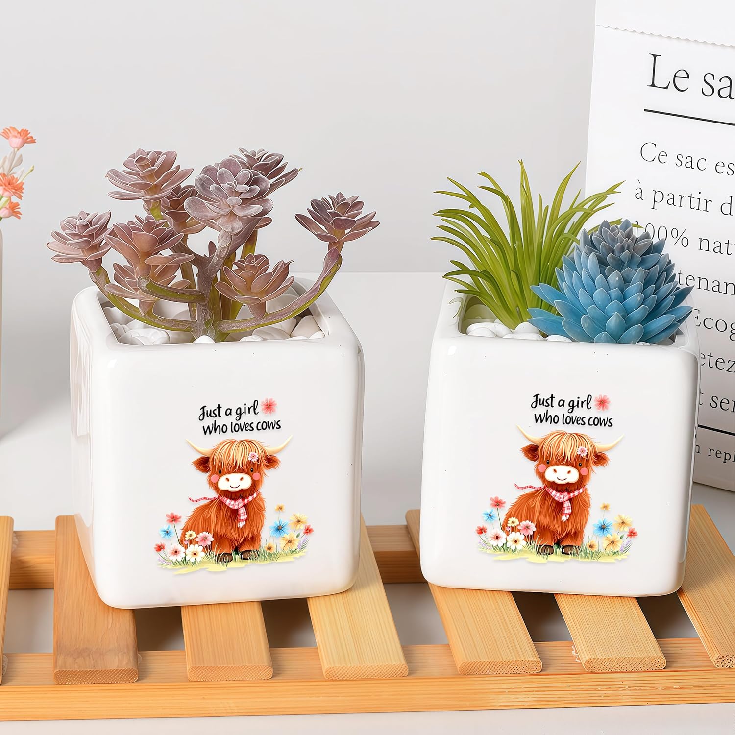 Highland Cow Succulent Planter Flower Plant Pot Small, Gifts for Women Teens Girls Kids, Cow Lovers Themed Stuff Accessories Things Decor Merch, Home Office Table Desk Decoration!