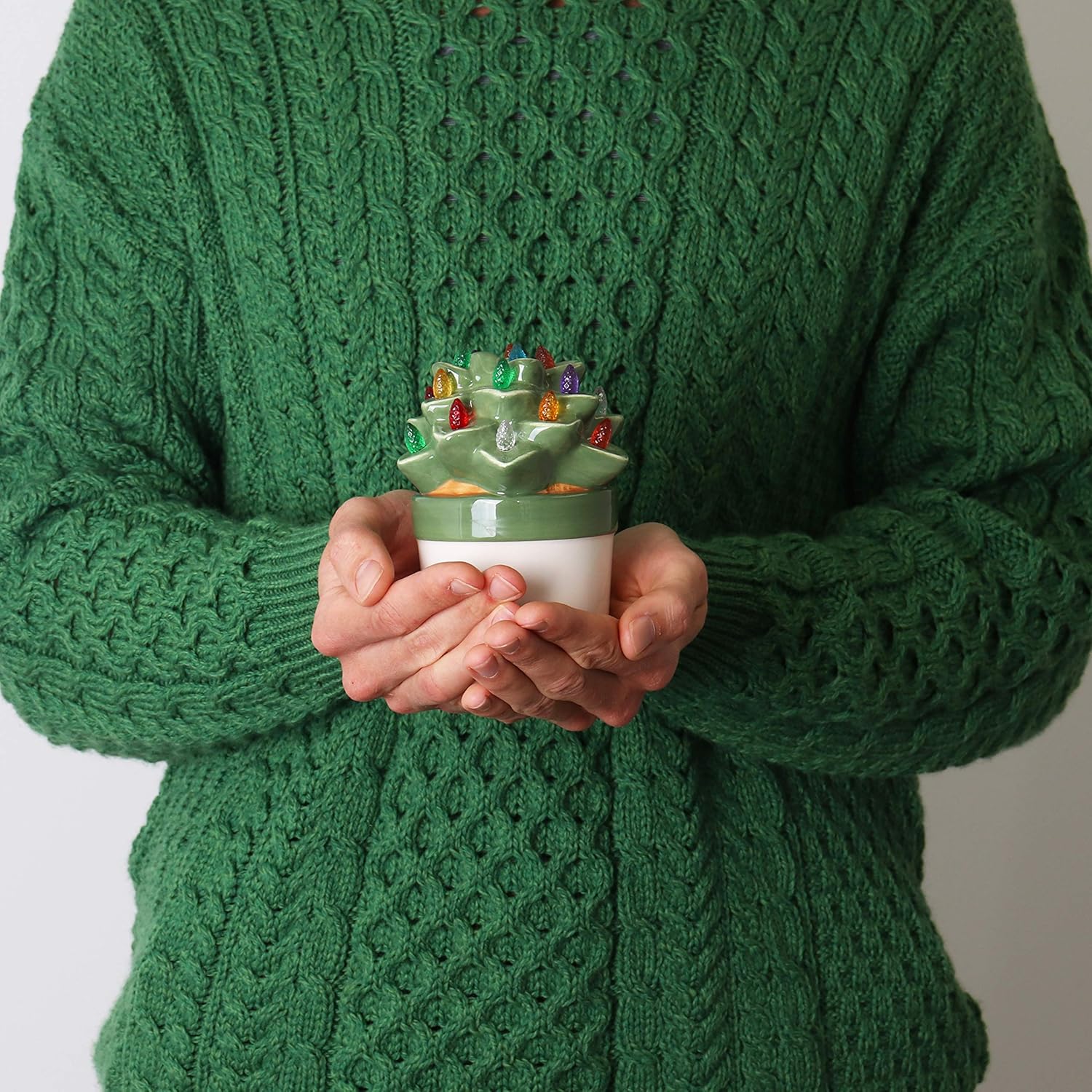 Milltown Merchants Ceramic Christmas Tree - Tabletop Christmas Tree with Lights - Lighted Vintage Ceramic Tree (Echeveria Succulent, Succulent Green)