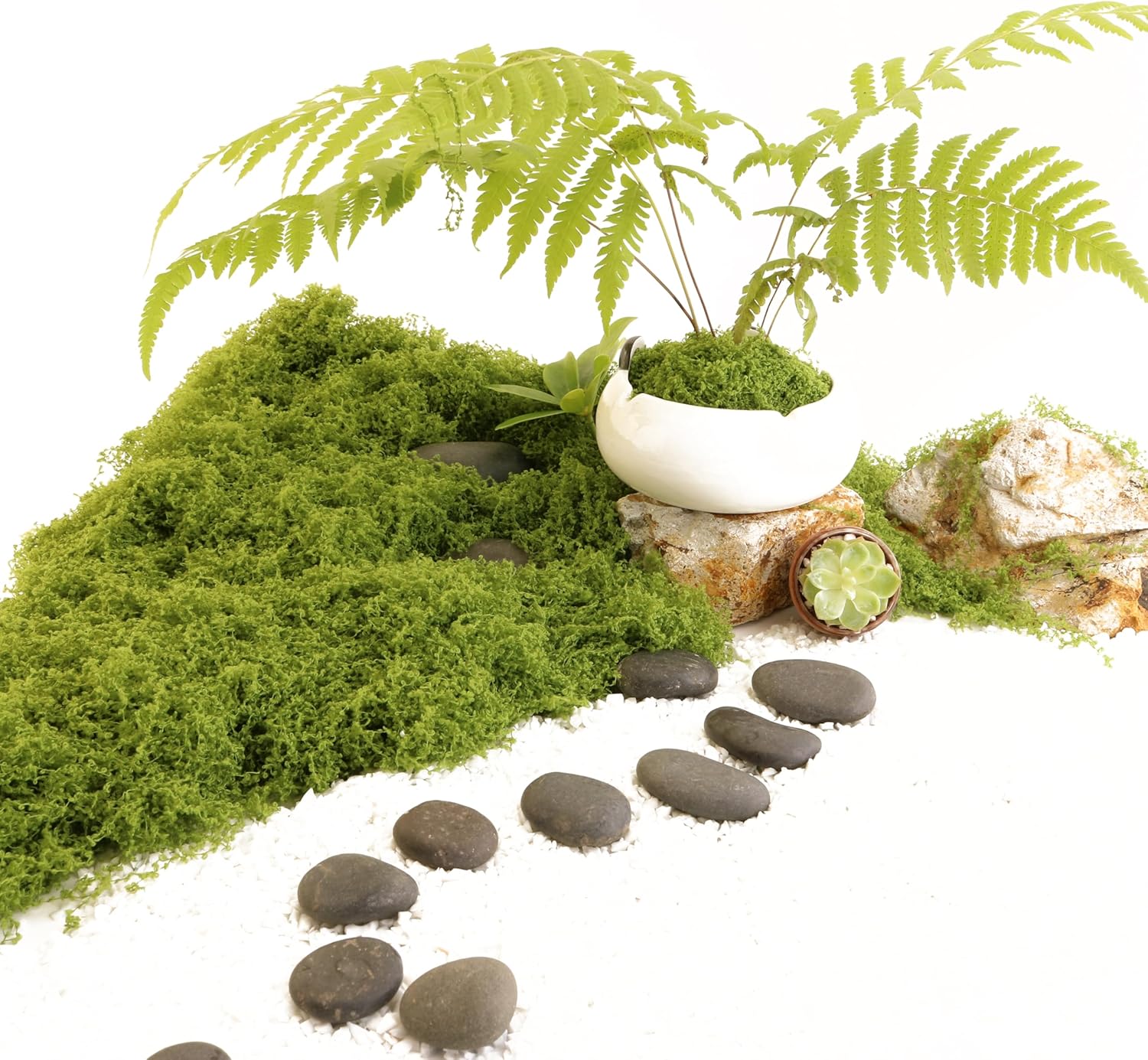 Caiyjhao Artificial Green Moss is Used for Potted Plants, and Moss Crafts are Used for Fairy Tale Garden Houses, Garlands, Glass Container Fillers and Wedding Wall Decoration (7.05 Ounces)