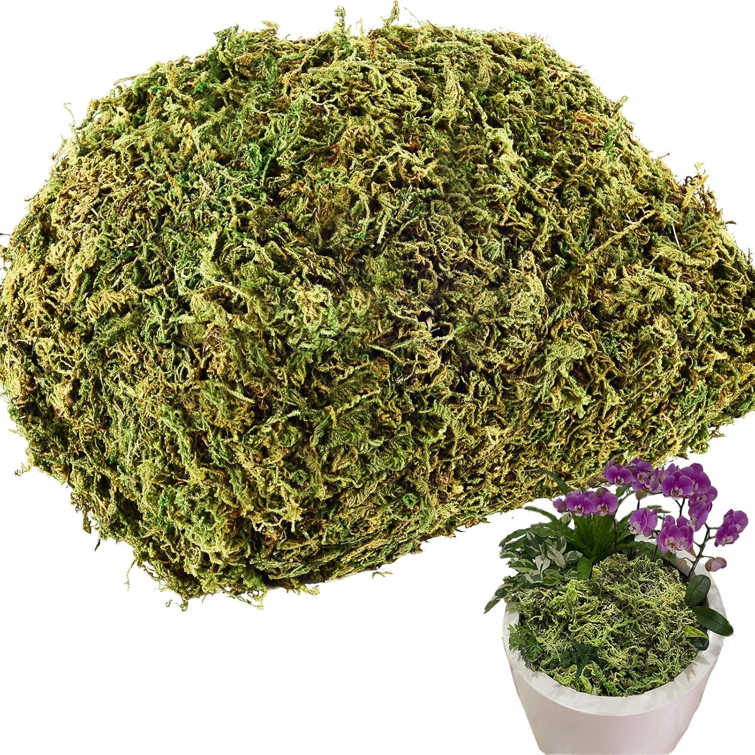 4.1OZ Fake Moss for Potted Plants and Fake Plants - Artificial Moss for Planters and Home Decor