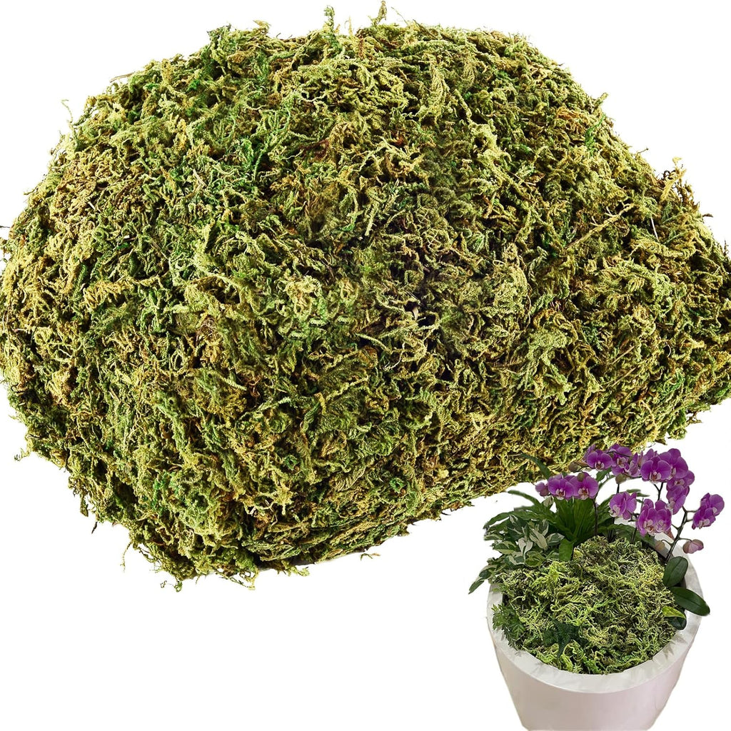 4OZ Fake Moss for Potted Plants Artificial Moss for Fake Plants Faux Moss for Planters Decorative Moss for Craft and Home Decor…
