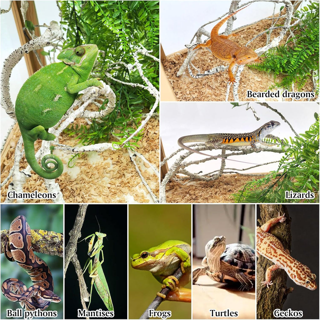 PINVNBY 3PCS Reptile Plants, Reptile Fake Hanging Plants for Bearded Dragon Tank Accessories, Terrarium Vines Flexible Climbing Artificial Leaves, Terrarium Decor for Leopard Gecko Lizard Snake