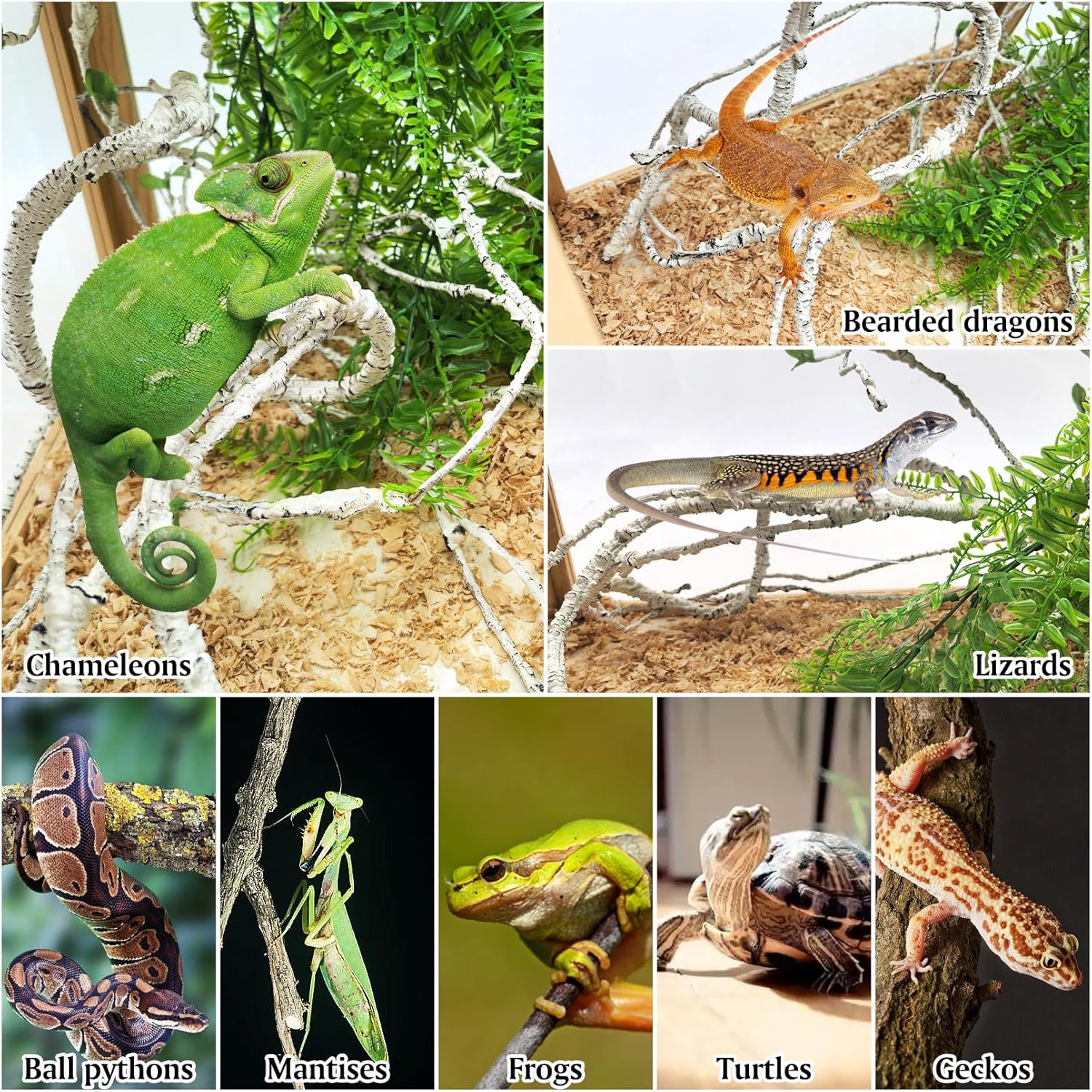 PINVNBY 3PCS Reptile Plants, Reptile Fake Hanging Plants for Bearded Dragon Tank Accessories, Terrarium Vines Flexible Climbing Artificial Leaves, Terrarium Decor for Leopard Gecko Lizard Snake