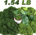 Jollidecor 1.54 LB Fake Moss for Crafts, Artificial Decorative Light Green and Dark Green Faux Moss DIY Fairy Garden Decor for Indoor Decor