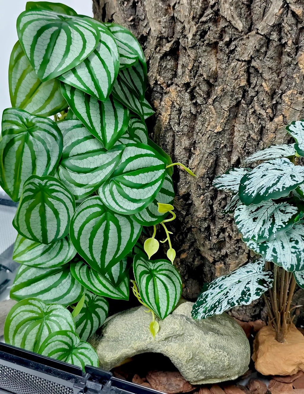 Woyrise 2 Pack Reptile Plants, Terrarium Hanging Plant Vines, Artificial Leaves with Suction Cup, Bearded Dragon Tank Accessories for Gecko Lizard Snake Frog Tortoise Decorations - Calathea Orbifolia