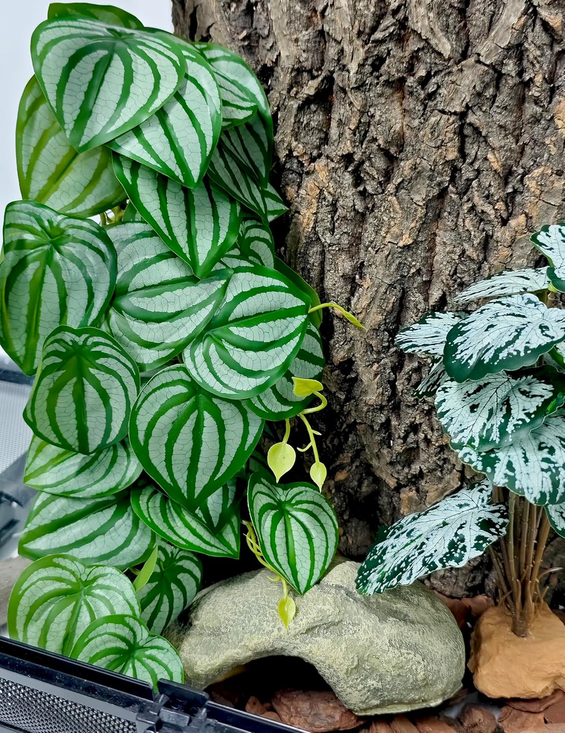 Woyrise 2 Pack Reptile Plants, Terrarium Hanging Plant Vines, Artificial Leaves with Suction Cup, Bearded Dragon Tank Accessories for Gecko Lizard Snake Frog Tortoise Decorations - Calathea Orbifolia