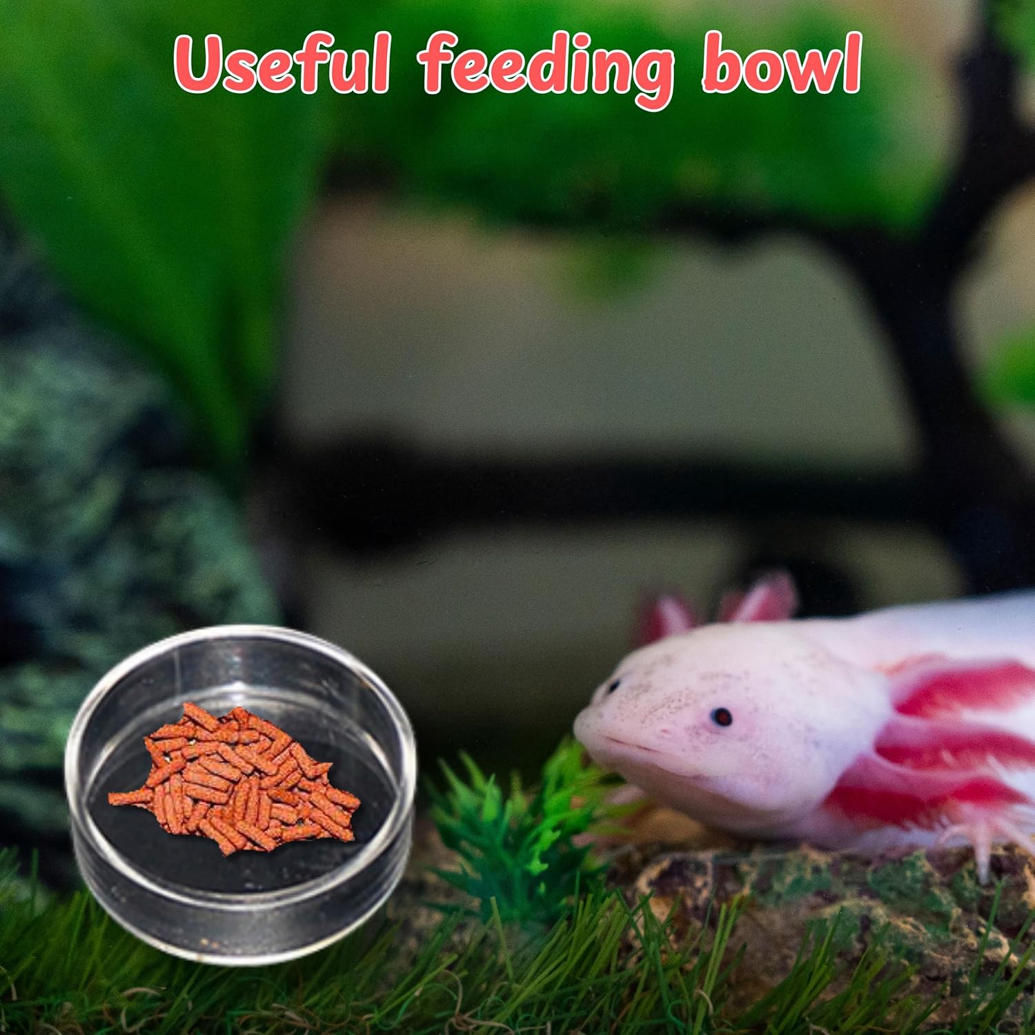 Axolotl Hide with Fish Feeding Dish Set, Axolotl Hideout for Aquariums, Bowl and Aquarium Hides for Axolotls Reptile Tortoise Fish, Hides for Tank, Turtle Tanks Decorations (Rock, M)