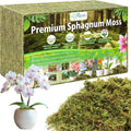 Riare 4.4LBS Premium Sphagnum Moss for Plants- 80QT Natural Dried Plant Moss for Potted Plants, Orchid Moss for Repotting, Soft Green Decorative Moss for Succulents, Reptiles & DIY Crafts