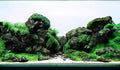LANDEN Black Icelandic Lava Stone Natural Rocks (18lbs, 3~11 inches,11pcs) for Aquariums, Paludariums, Terrariums, Caves and Rocky Peaks, Mountainous Desert Landscapes