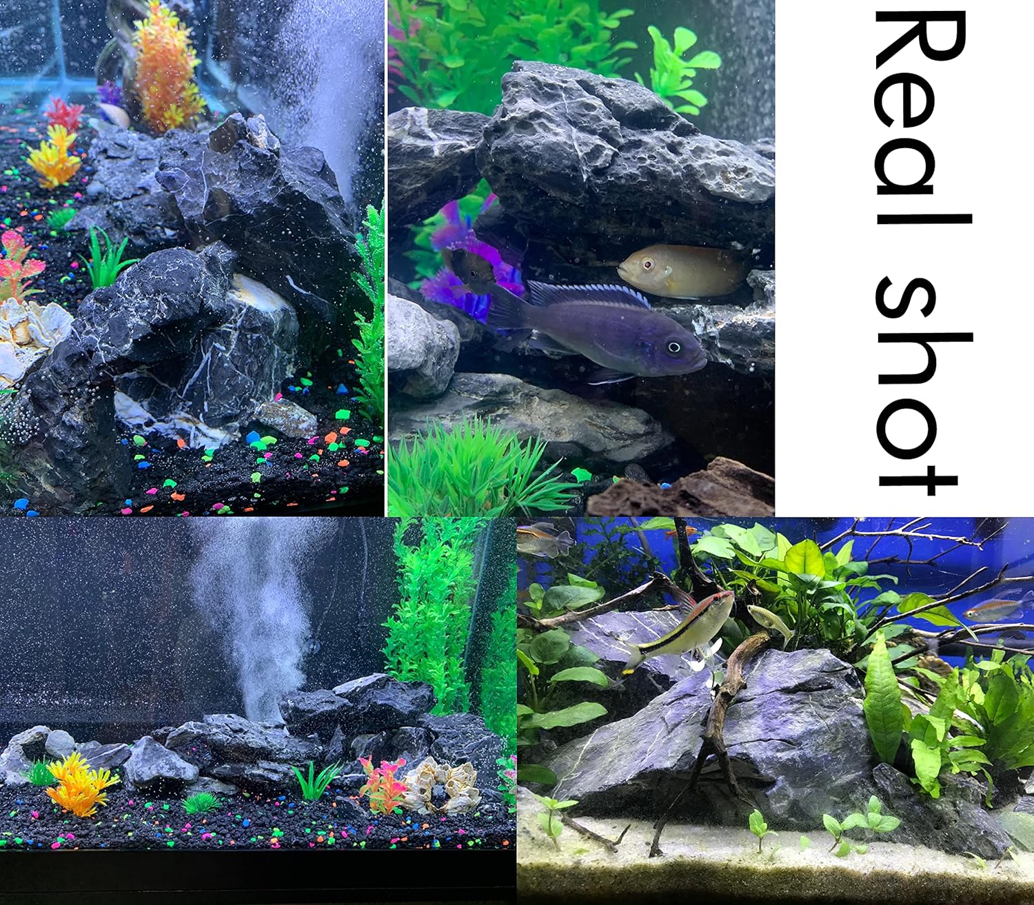 Voulosimi 12 lb Seiryu Rock Stone for Aquariums, Landscaping Model,Tank Decoration