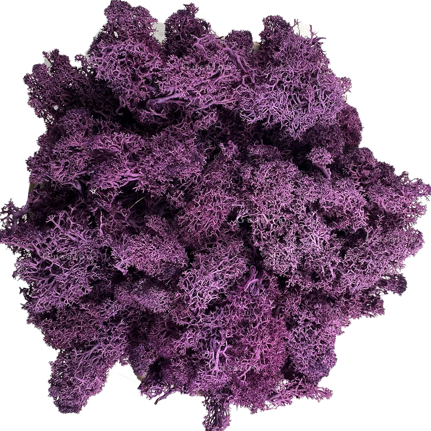 Moss Preserved Moss Natural Fresh Green Moss for Craft Arts Floral Project Wall Decor Table Decor Wedding Centerpieces Garden Artificial Terrariums Decoration- Purple 3.5OZ