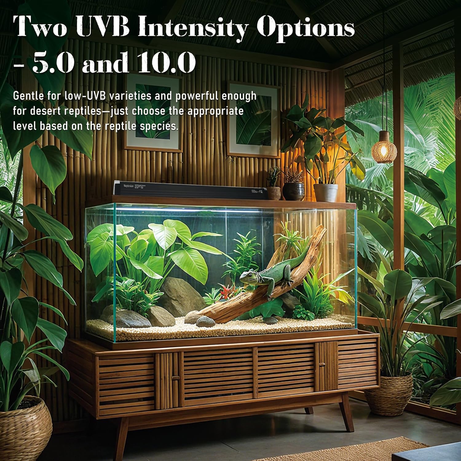T5 Reptile UVB Light 22.7 Inches Fixture with UVB 5.0 Bulb High Output Hood for Terrariums, Basking Reptiles, Lizards, Chameleons, Iguanas, Bearded Dragons, 14W