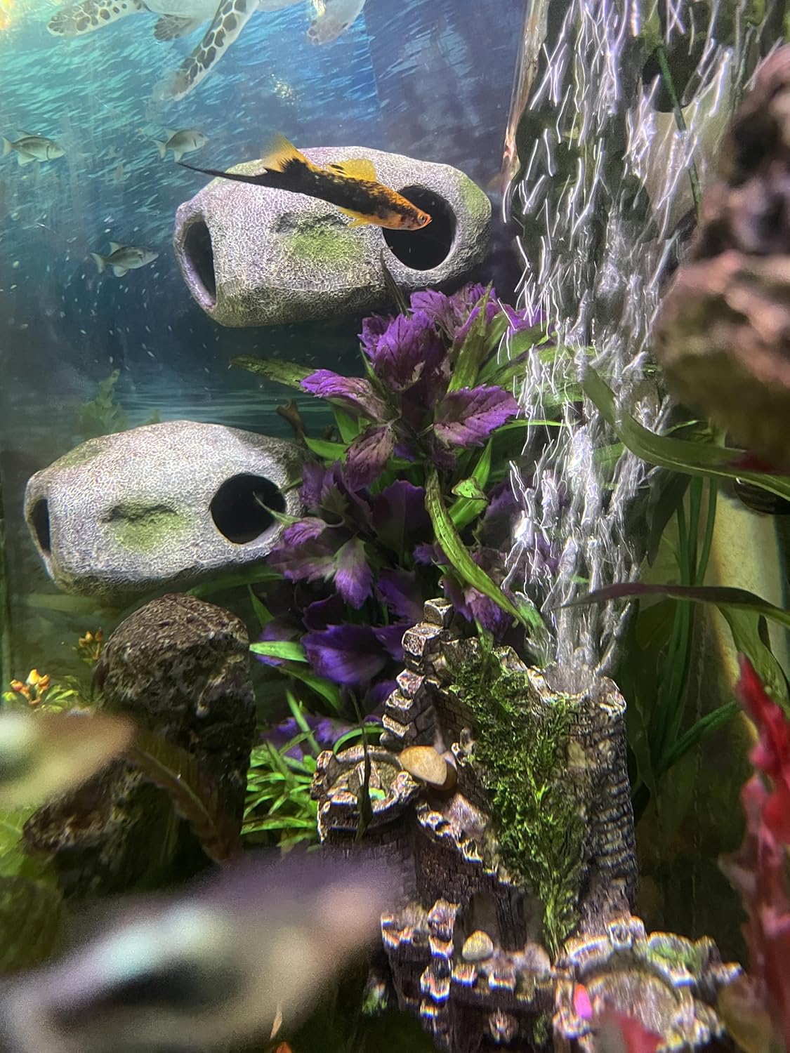 Aquarium Decor Magnetic Rock Cave Ornament – Wall-Mounted Fish Tank Accessory