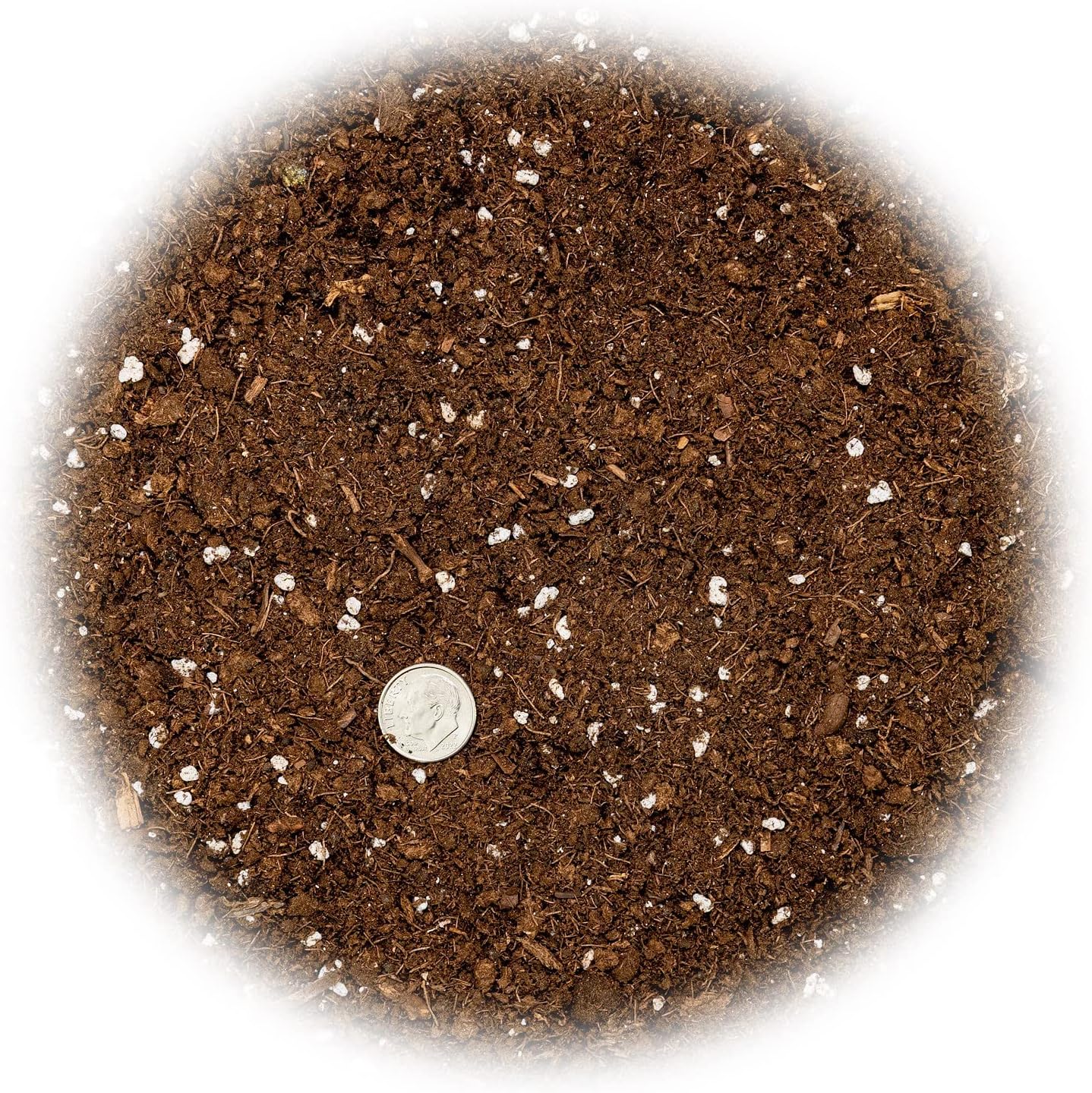 GARDENERA Money Tree Potting Soil Mix for Planting or Repotting Guiana Chestnut, Soil Blended to Properly Grow Money Tree Plants - (1 Quart Bag)