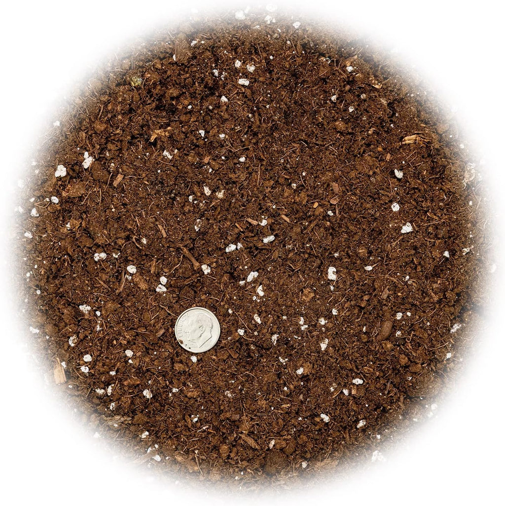 GARDENERA Money Tree Potting Soil Mix for Planting or Repotting Guiana Chestnut, Soil Blended to Properly Grow Money Tree Plants (3 Quart Bag)