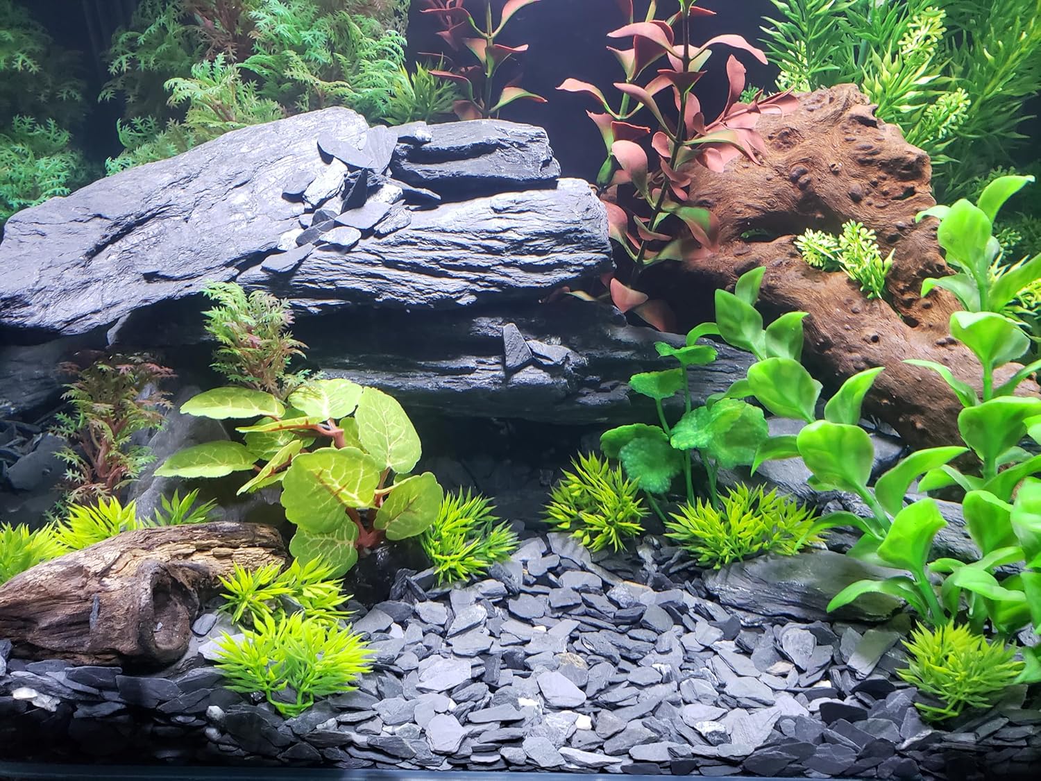 Small World Slate & Stone Aquarium Gravel 6lbs - Natural Substrate for Aquascaping Planted, Freshwater and Saltwater Tanks - Grey - Gravel Size Approx. 1/4"-1/2" (6 lbs)