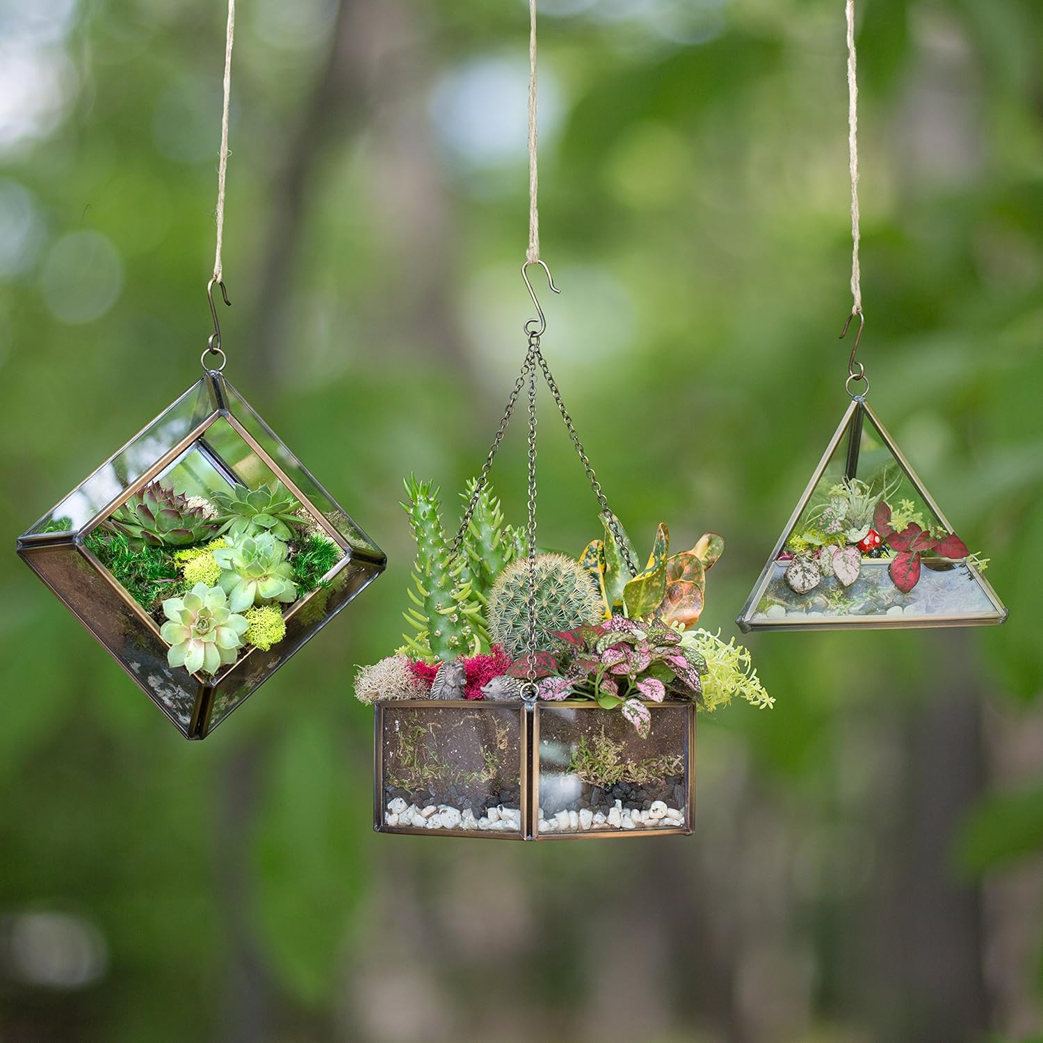 D'Eco Glass Mini Hexagon Display - Tabletop or Hanging Planter Terrarium for Home & Office Decor - Fill w/Succulents, Holiday Decorations, Mini Trees & Ornaments - Xmas Gift for Plant Lovers