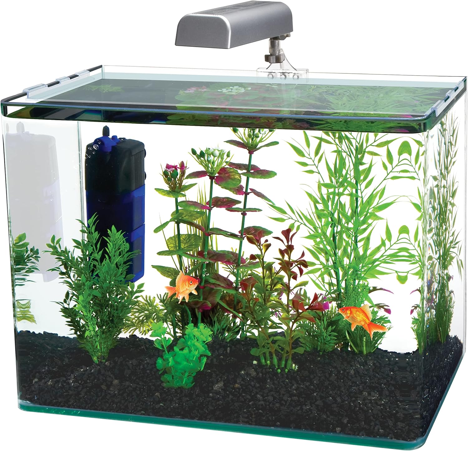PENN-PLAX Water-World Radius Desktop Nano Aquarium Kit – Includes LED Light, Internal Filter, and Mat – Perfect for Shrimp and Small Fish – 7.5 Gallon Tank