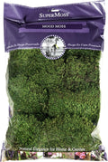 SuperMoss (21539) Mood Moss Preserved, 200 Cubic Inch Bag (Appx. 8oz), Fresh Green