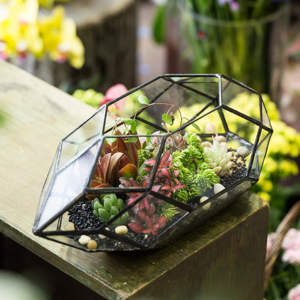 NCYP 6.5 x 5.9 x 11 Inches Geometric Glass Terrarium for Succulent, Air Plants - Large Irregular Clear Planter Pot, Indoor Tabletop Centerpiece, Wedding Garden Decor, Black (No Plants)