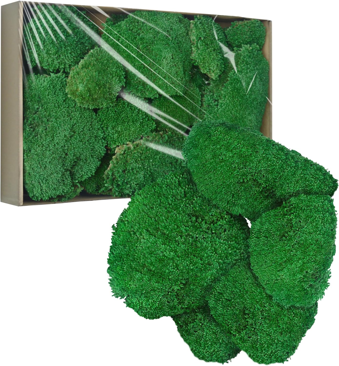 TurelinnG Preserved Moss Decor - Real Forest Moss, Moss for Crafts, Flexible for DIY Crafts, Home, Wall, Terrarium, Art Projects(Dark Green 2 sq.ft)