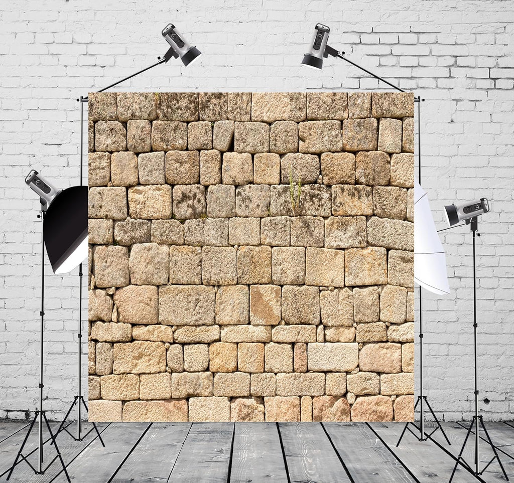 BELECO 8x8ft Fabric Vintage Brick Stone Wall Backdrop for Photography & Party Decorations